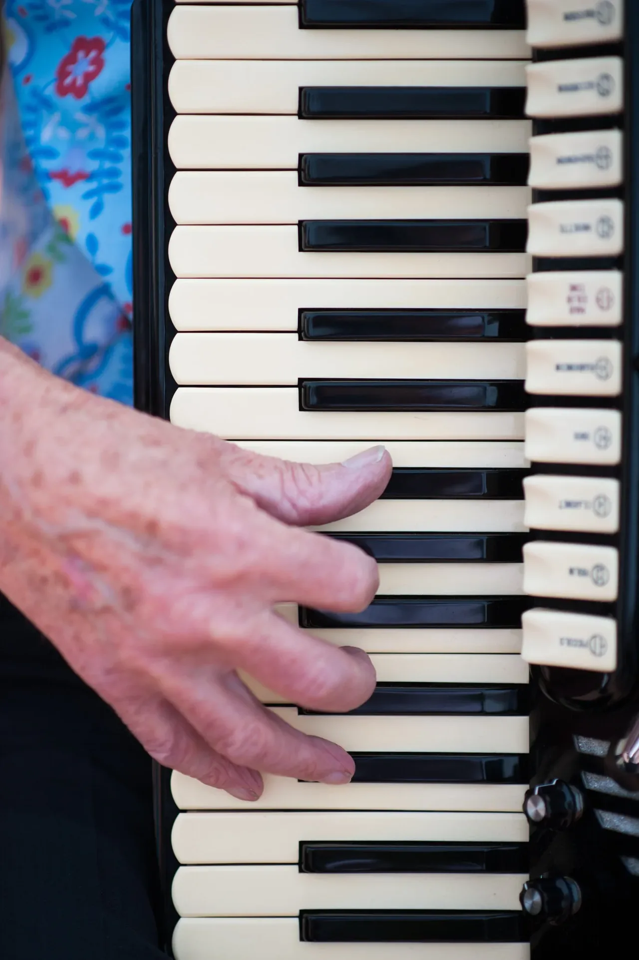 Close-up of an accordion player's hand on the keys