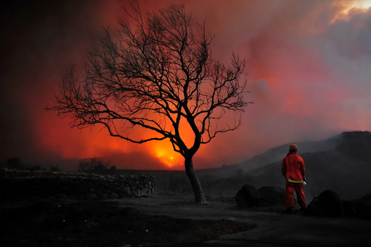A lone tree silhouetted against wildfire smoke at dusk as a firefighter looks on
