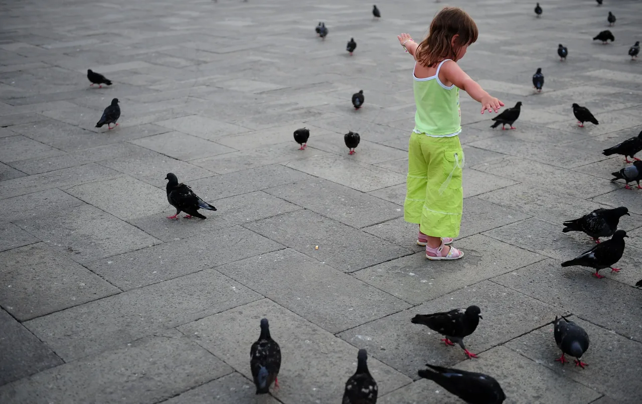 A young girl in green among pigeons in a stone plaza